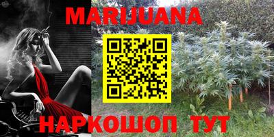 прущие крисы Дубна