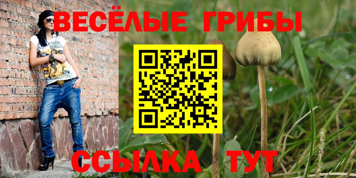 Мытищи  Псилоцибиновые грибы ЛСД  даркнет сайт  Вход с VPN 
